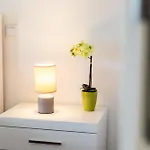 Wave Of Happiness Apartment *